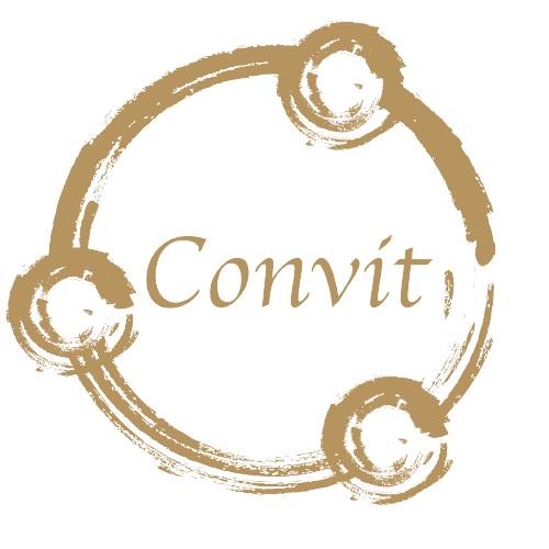 Convit Holding GmbH