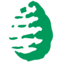 Logo Stiftung Pigna